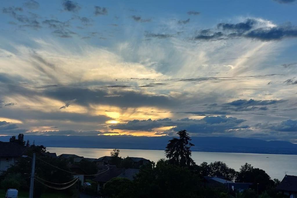Appart Cosy Avec Vue Sur Le Lac Leman エヴィアン・レ・バン エクステリア 写真