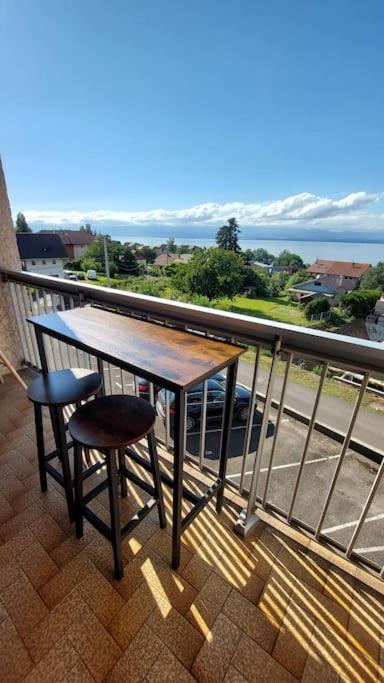 Appart Cosy Avec Vue Sur Le Lac Leman エヴィアン・レ・バン エクステリア 写真